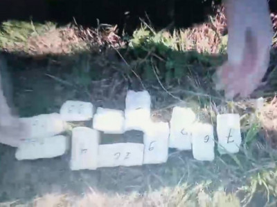 Шығыс Қазақстанда есірткі тасымалдаумен айналысқан күдіктілер ұсталды