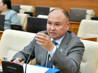 Депутат пластикалық ота жасайтын клиникаларды жаппай тексеруді талап етті