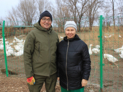 600 құс, 200 қой: Жетісулық кәсіпкер «Ауыл аманаты» арқылы мал мен құс шаруашылығын қатар дамытып отыр