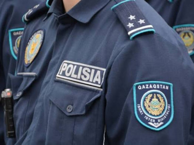500-ден астам қазақстандық жалған мемлекеттік нөмірмен көлік жүргізген