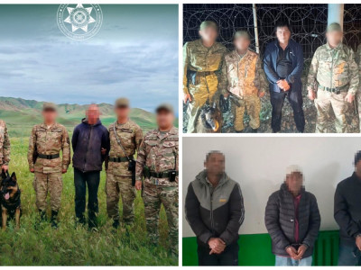 Шекараны кесіп өтпек болған 15 шетел азаматы ұсталды