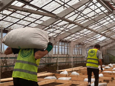 Қостанай облысында 100 түрлі өсімдік өсіретін «Agro Eco Hub» экожобасы іске қосылмақ