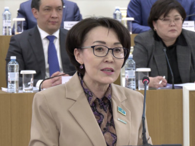 Үнзила Шапақ: Жаңа Конституция – құқықтық айқындықтың кепілі