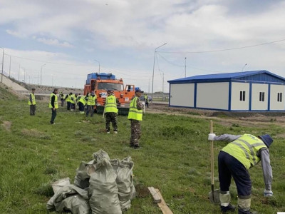«Таза Қазақстан»: Республикалық автокөлік жолдарын көгалдандыру жұмысы жүріп жатыр