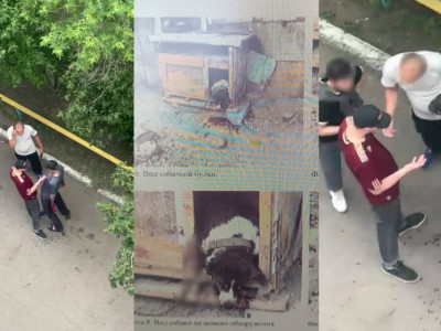 Петропавлда итке бірнеше рет пышақ сұққан тұрғын сот алдында жауап береді