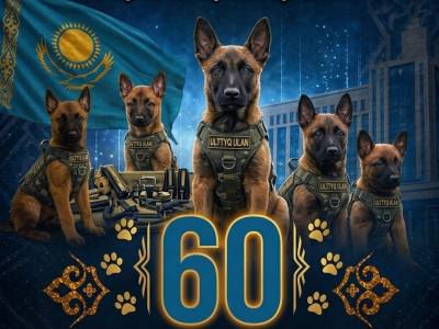 Ұлттық ұланның кинология орталығында соңғы екі жылда 60 күшік өсірілді