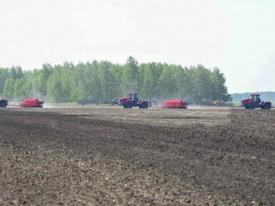 Павлодар облысында 18 миллион теңгенің ауыл шаруашылығы жері мемлекетке қайтарылды