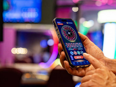 7,5 млрд теңге айналымы бар «Nomad Poker» онлайн-казиносы әшкереленді