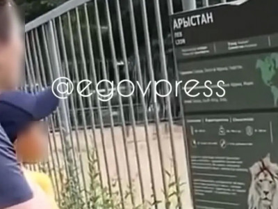 Алматылық келіншек балалардың көзінше зообақтағы арыстандарға тас лақтырған