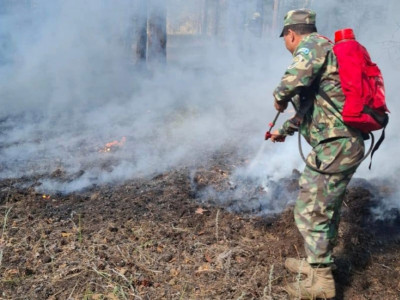 Елімізде бір тәулікте 3 орман өрті сөндірілді