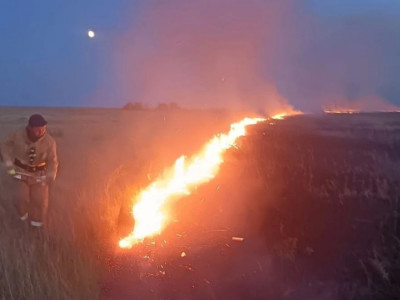 Ақмола облысының үш ауданында құрғақ шөп өртенді