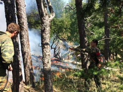 Семей орманында 12 күн бұрын басталған өрт сөндірілді
