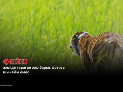 Министрлік: «Іле-Балқаштағы» жолбарыстың желіде тараған суреті – фейк (ФОТО)