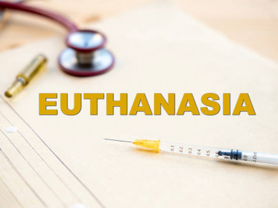 Американың 14-штатында эвтаназияға рұқсат берілді