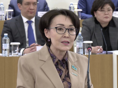 Үнзила Шапақ: Жаңа Конституция – құқықтық айқындықтың кепілі