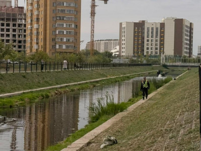 Елордада Сарыбұлақ өзенін тазарту жұмысы жүріп жатыр