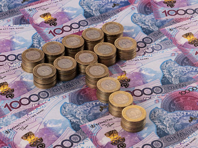 Жамбыл облысында кәсіпкерлерге тиесілі 119 млн теңге субсидия берілмеген