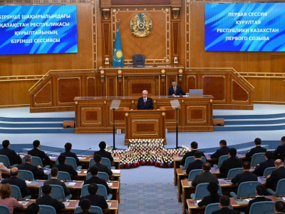 Ерекше қажеттілігі бар балаларға көрсетілетін атаулы қолдаудың тиімді жүйесін құруымыз керек – Мемлекет басшысы