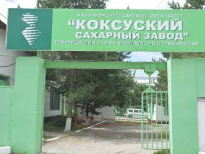 Көксу қант зауытының өңдеу қуаты тәулігіне 3 мың тоннаға дейін артады