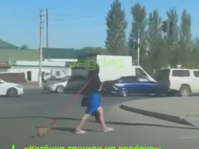 Астанада мысықты байлап сүйреген әйел жұртты ашуландырды (ВИДЕО)