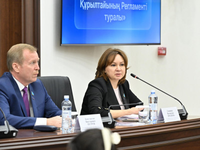 Депутаттарға ұсыныстарды цифрлық форматта да жолдауға болады – Снежанна Имашева