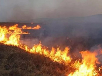 Қарағанды облысындағы дала өрті: ТЖД жүргізушілерге ескерту жасады