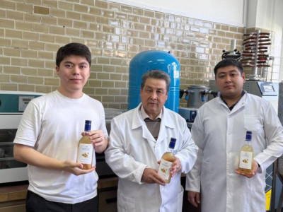 Қазақстандық ғалымдар адам ағзасына пайдалы жаңа сусын әзірледі