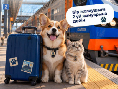 Жолаушы пойызда үй жануарларын алып жүру кезінде нені білуі керек?