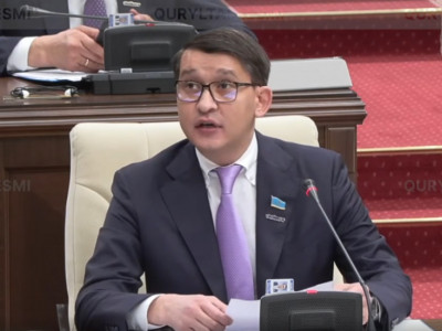 Тілектес Адамбеков: Ғылымға бөлінген қаржының экономикалық тиімділігі туралы ақпарат жоқ