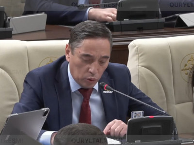 Байыпсыз блогер мен кереғар коучке еліктейді: Депутат мемлекетшіл тұлғаларды ұрпаққа үлгі етудің маңызын айтты