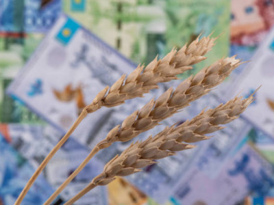 Батыс Қазақстанда мемлекетке 1,2 млрд теңге залал келтірген 5 күдікті ұсталды