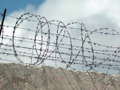 Рақымшылық аясында 2,6 мыңнан астам адамға қатысты шешім қабылданды – ІІМ