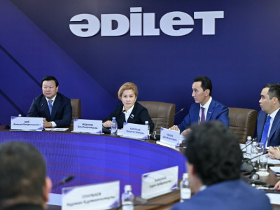 Депутаттар медицина қызметкерлерінің кәсіби мәртебесін ұлттық қауіпсіздік тұрғысынан талқылады