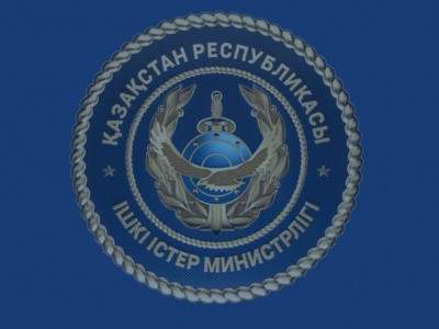 Полиция ЖСН-ді өзгертуге қатысты тараған ақпаратқа түсінік берді