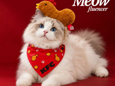KFC мысық қызметкер іздеп жатыр
