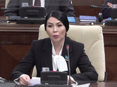 Айнагүл Балташева: Педагог-ассистенттің еңбек құқығын қорғау – ерекше баланың сапалы білім алу құқығын қорғау