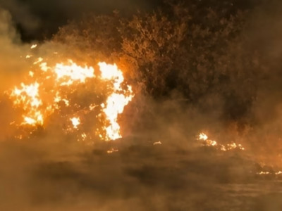 Жетісу облысында ауқымды өрт сөндірілді