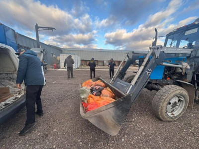 Астанада ет өңдейтін заңсыз цех анықталды