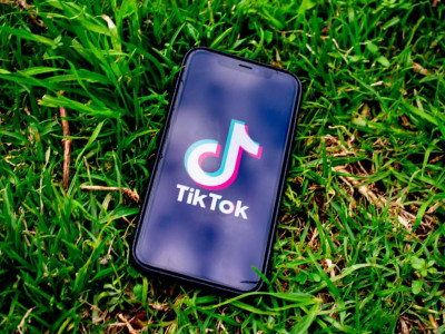 TikTok-та тікелей эфирге шығып, балағат сөз айтқан қыздың ата-анасы жазаланды
