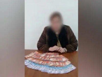 Алматыда «R.O.I.» қаржы пирамидасын ұйымдастырушы қамауға алынды