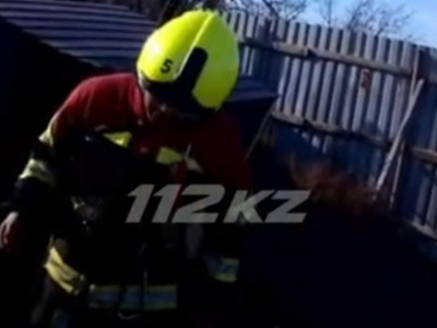 Павлодар облысында әжетханаға кірген әйел күтпеген жағдайға тап болды (ВИДЕО)