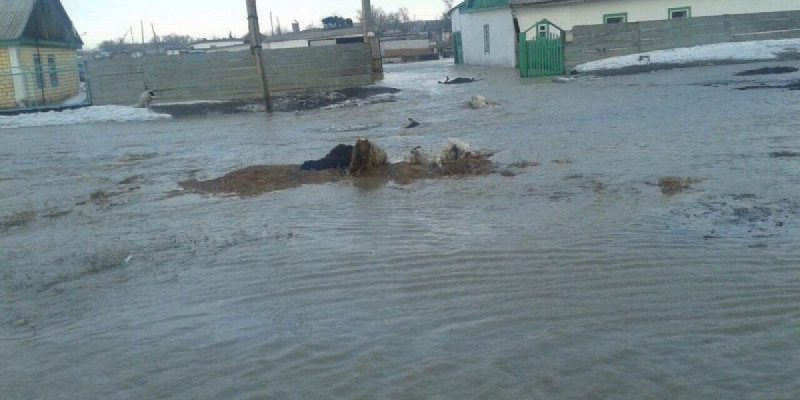 ІІМ: 5 облыстағы қолайсыз ахуал 7-10 күнде тұрақталады
