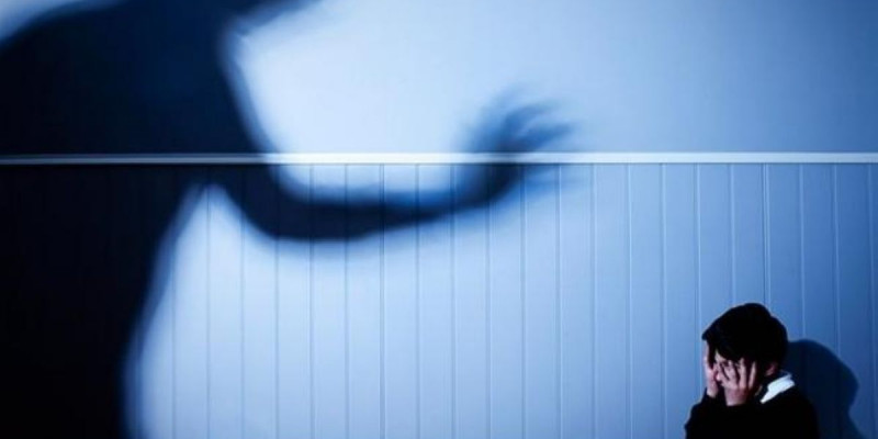 Балаларға зорлық көрсетуге қатысты 665 қылмыстық іс тіркелген