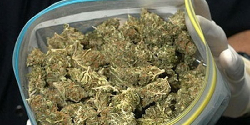 1 тонна қарақоға жинаған азамат ұсталды