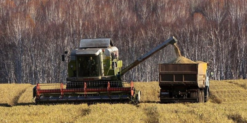 Ақмола облысында күзгі жиын-теріннің 50 пайызы орындалды
