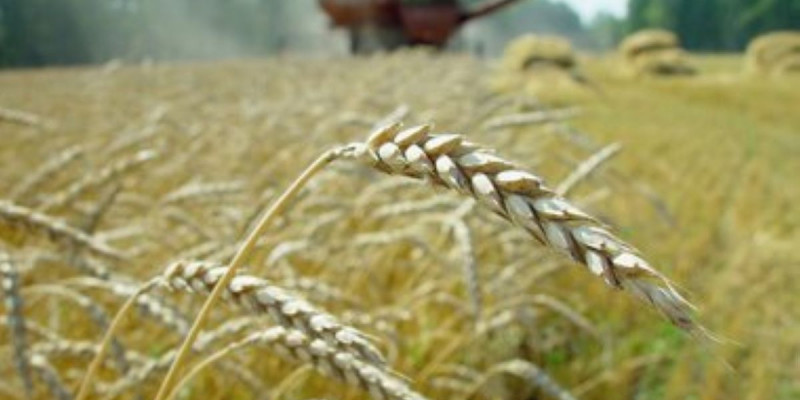 Азық-түлік келісімшарт корпорациясы тауар өндірушілерді 15 млрд теңгеге қардыландырды