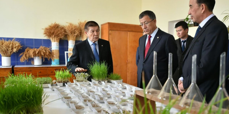ОҚО әкімі Мақтарал ауданына жұмыс сапармен барды