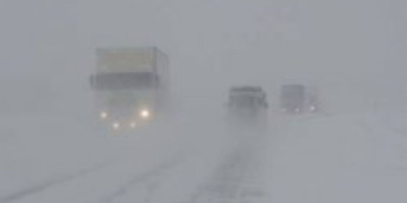 Жамбыл облысында боранда қалған адамдар құтқарылды