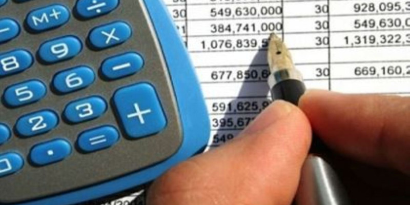 Былтыр 10 мың салықтық тексеру жүргізілген