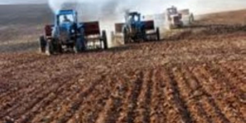 Шаруаларды несиелендіруге 60 млрд теңге бөлінбек